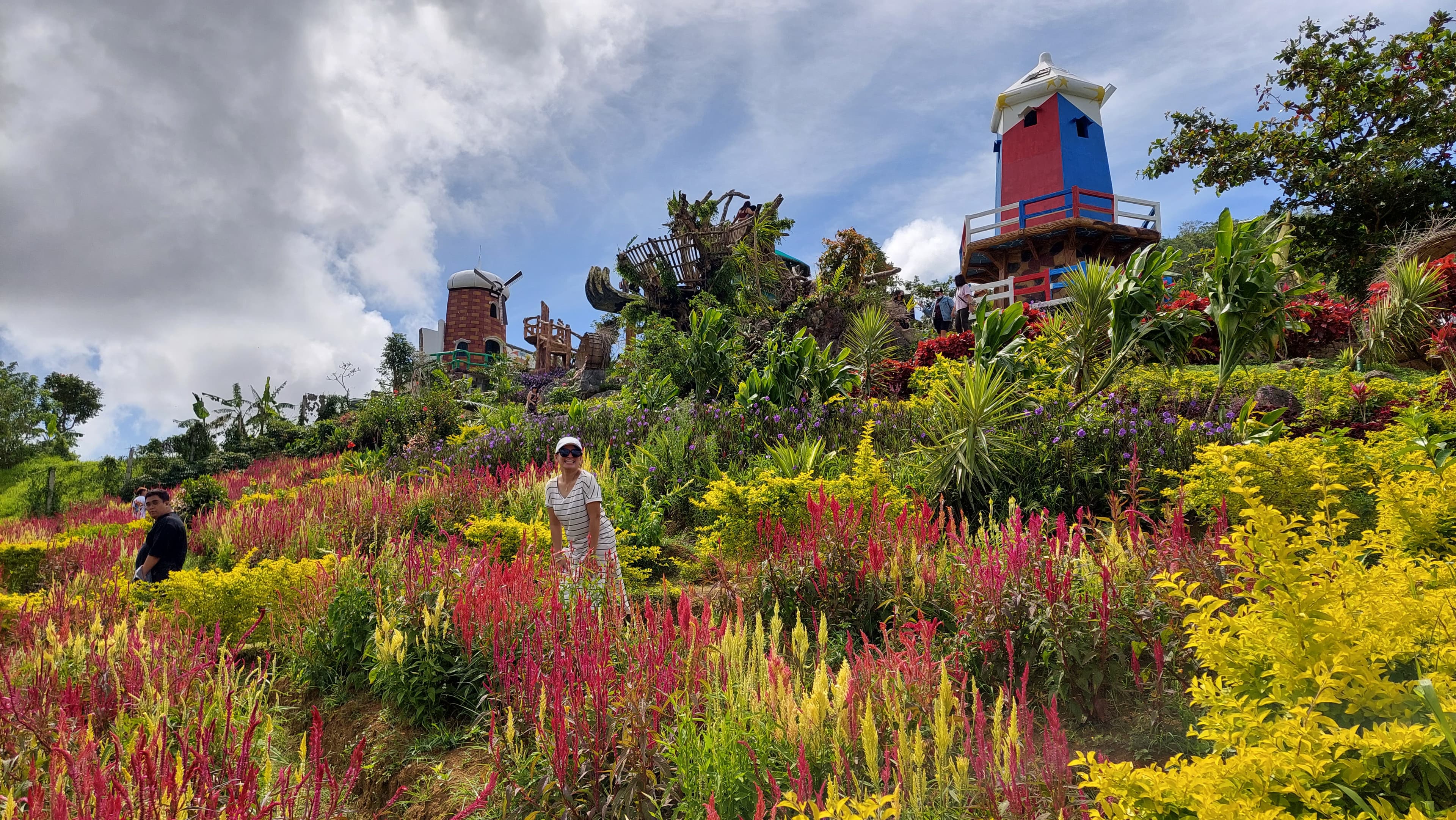 Terraced beds of celosia in the highlands, known as Cebu's Little Amsterdam