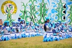 Bolho Festival