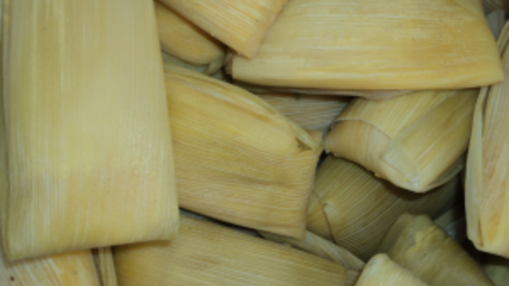 Pintos Festival