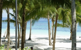 Bohol Beach Resorts